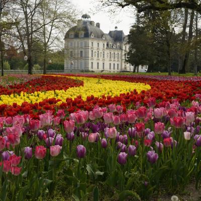 image château de Cheverny 